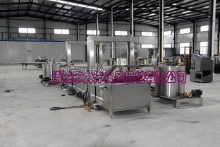 諸城市大洋食品機(jī)械推出全新高效油炸生產(chǎn)線，引領(lǐng)食品加工設(shè)備性能新標(biāo)桿